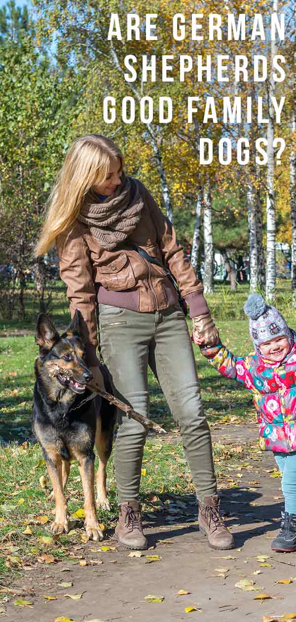are german shepherds good family dogs