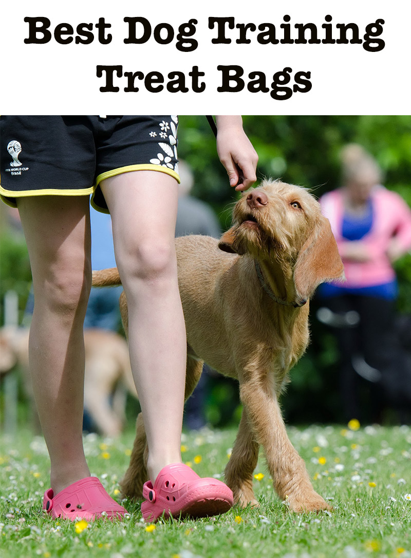 Make Your Own Dog Training Treat Bag