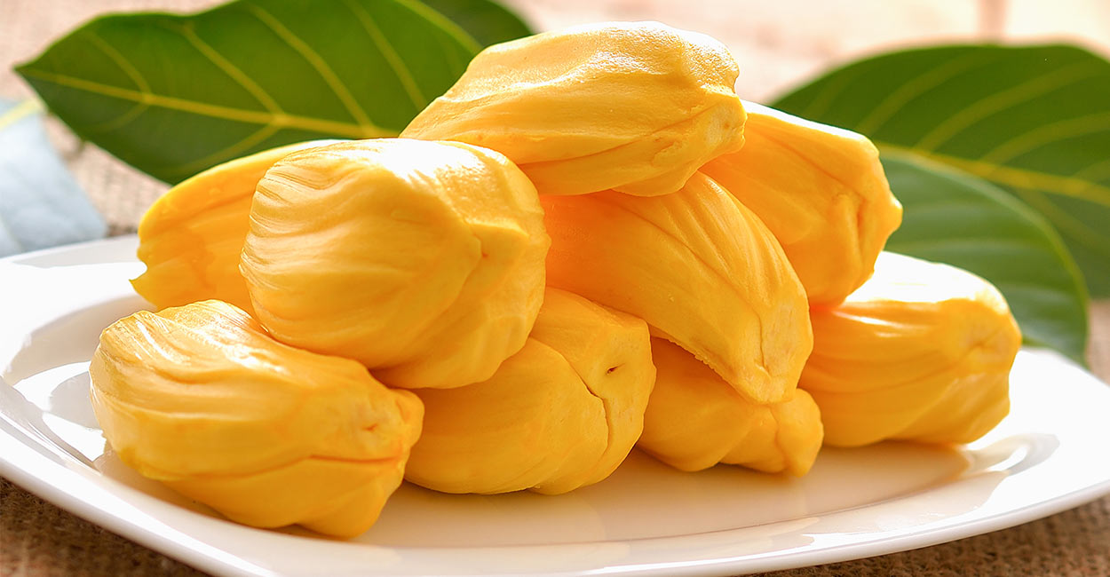 is jackfruit okay for dogs