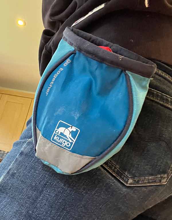 blue Kurgo dog treat training bag