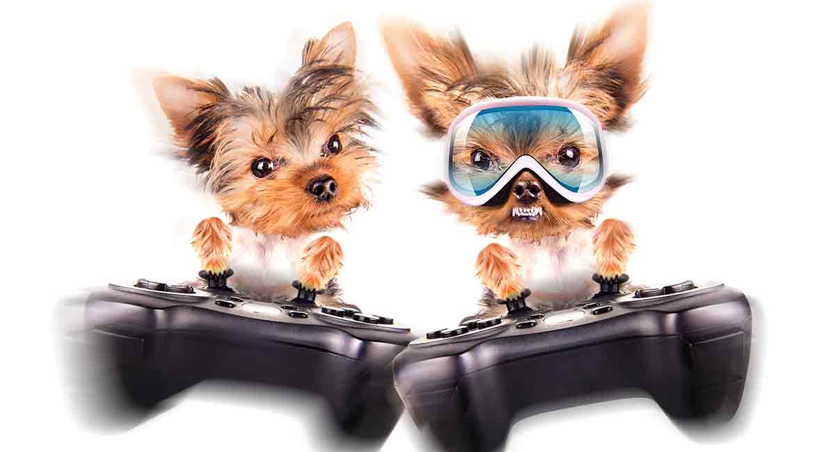 Video Game Dog Names – Daring Names for Your New Pup