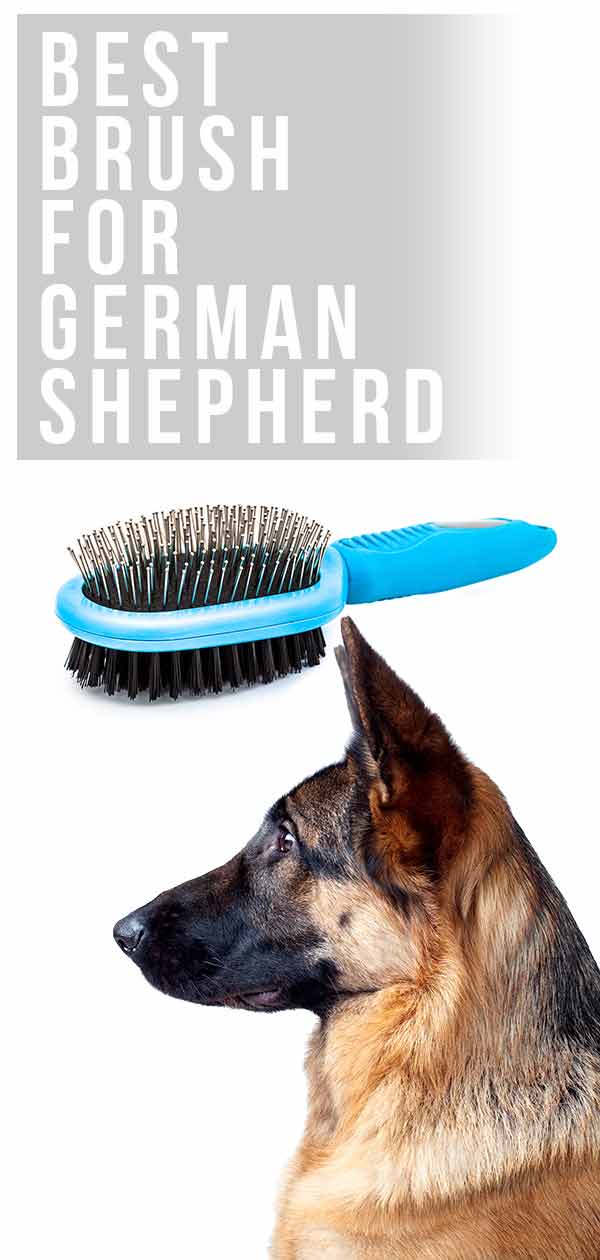 Best Brush For German Shepherds A Complete Guide