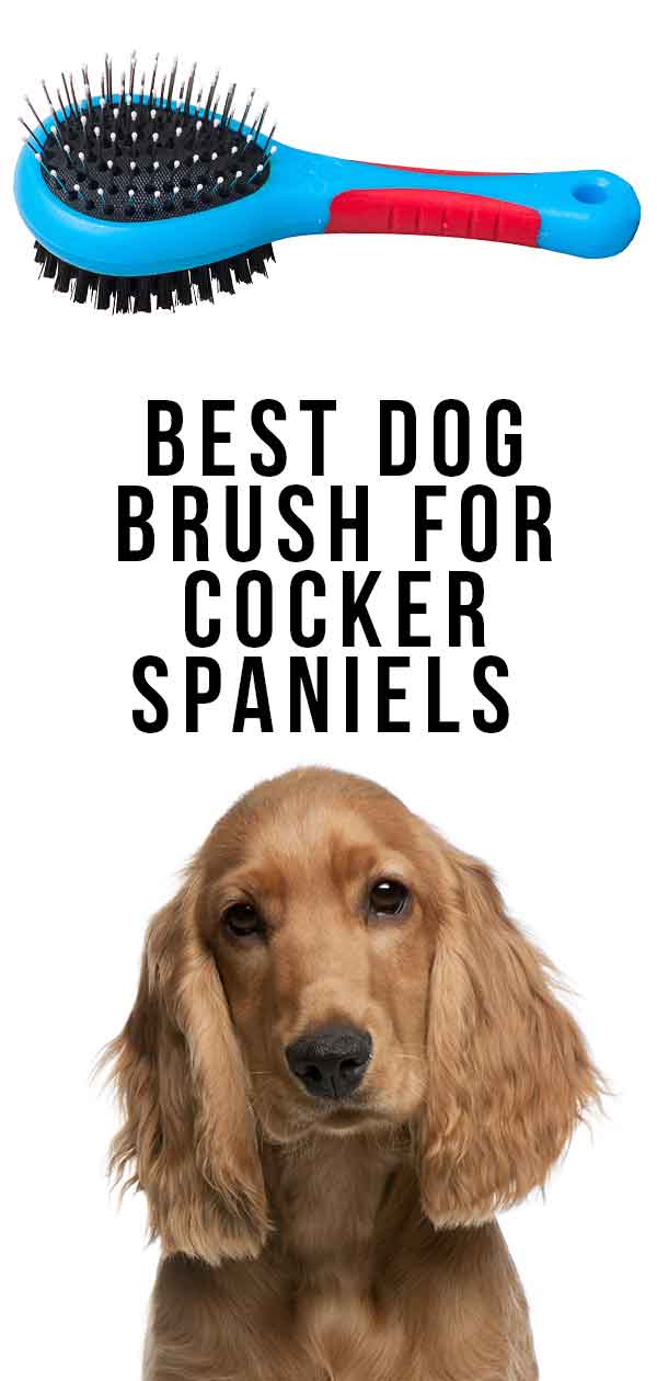 best brush for cocker spaniels