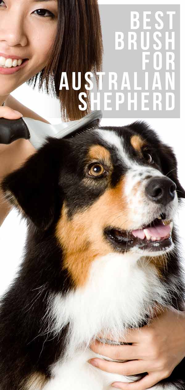 Best brush for australian shepherd puppy sale