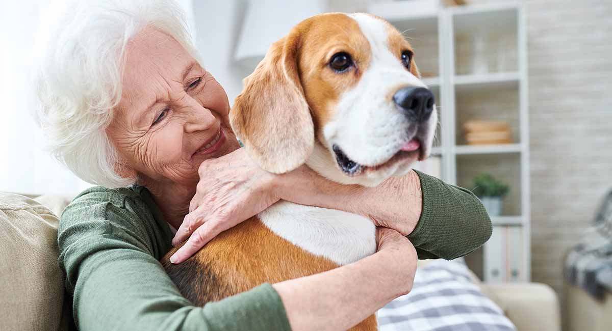 How Long Can A Dog Live With A Benign Liver Tumor