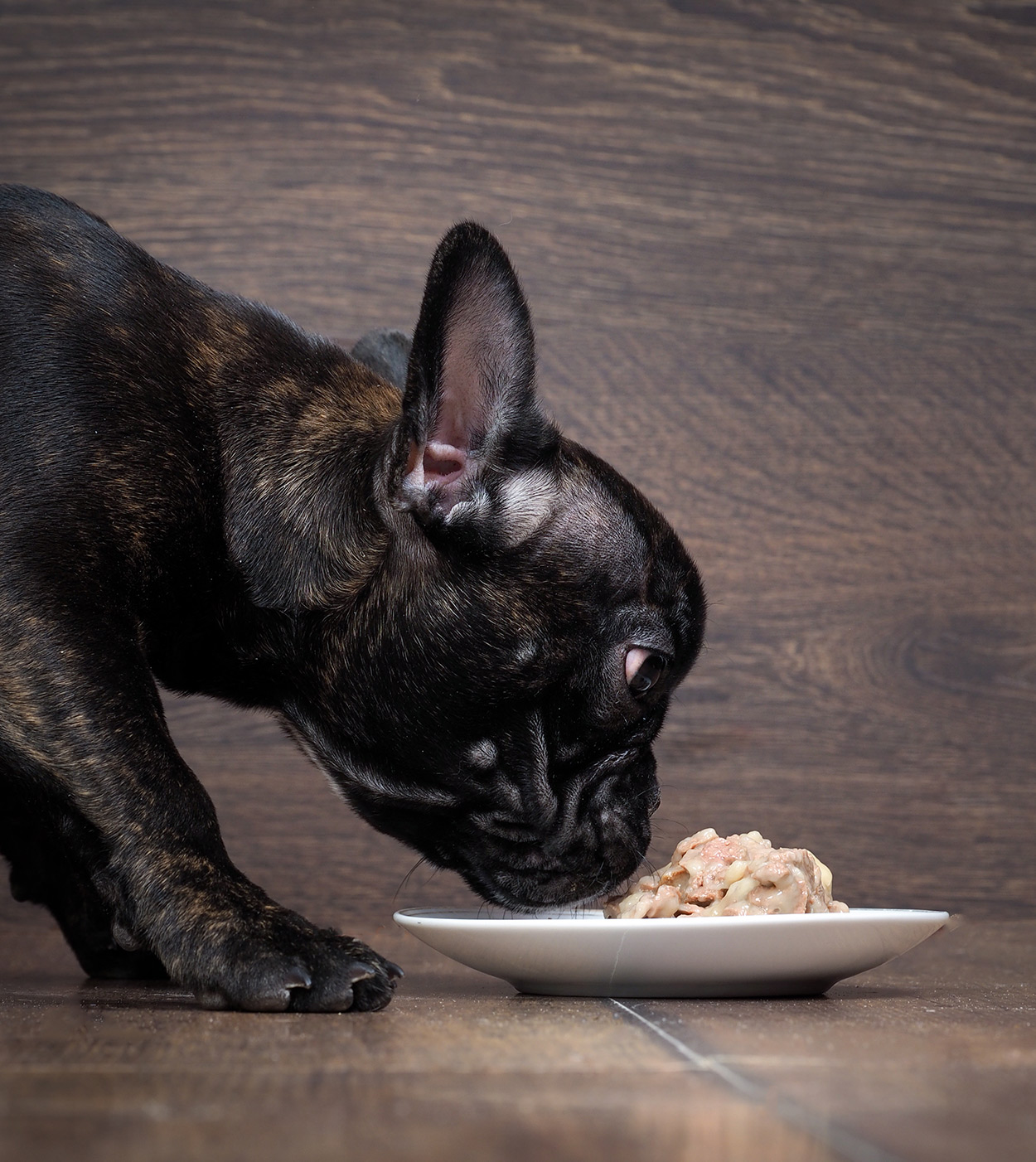 What Raw Food Is Best For French Bulldogs