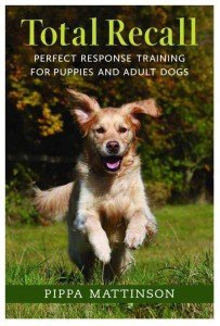 Fading rewards in dog training