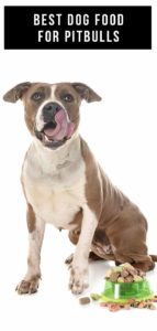 Best Dog Food For Pitbulls – Nutritious And Tasty Options