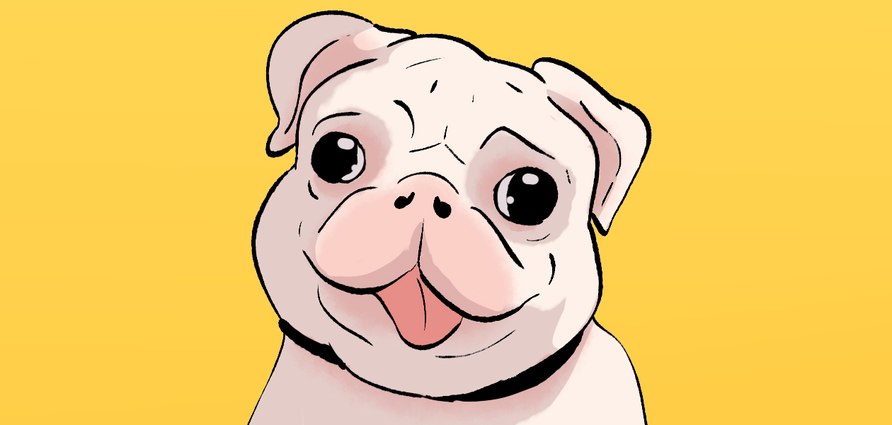 pug breeding guide