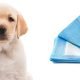 alternatives to puppy pads