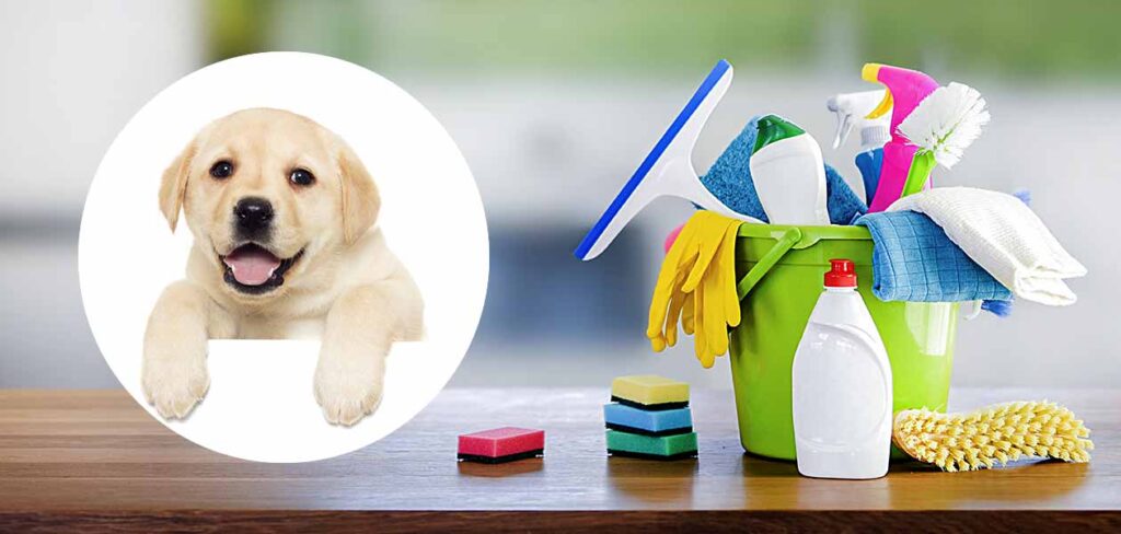 how to clean puppy pee on tile