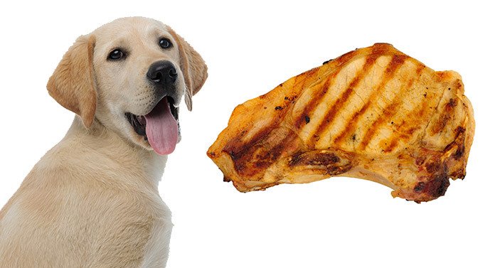 why can dogs not eat pork