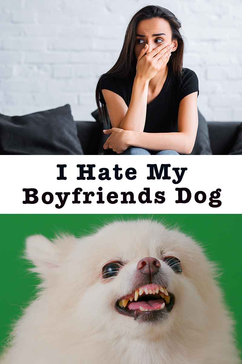 I Hate My Boyfriend's Dog