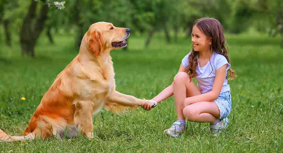 puppy training for kids