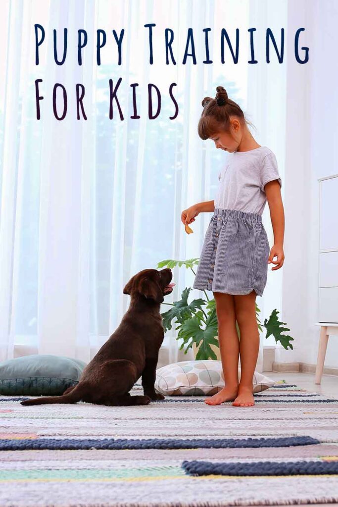 puppy training for kids